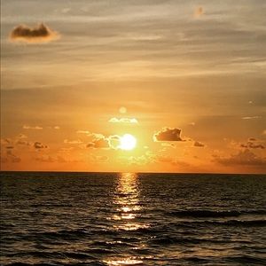 Meet your Posher, Vivictoria